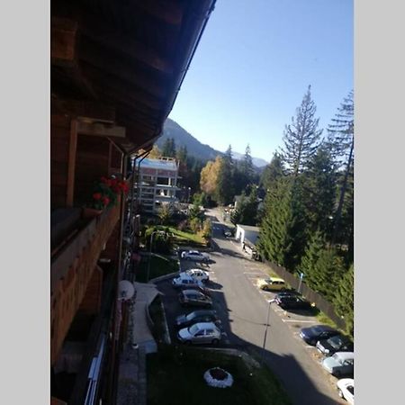 Large Vacation Apartment In Poiana Brasov Buitenkant foto