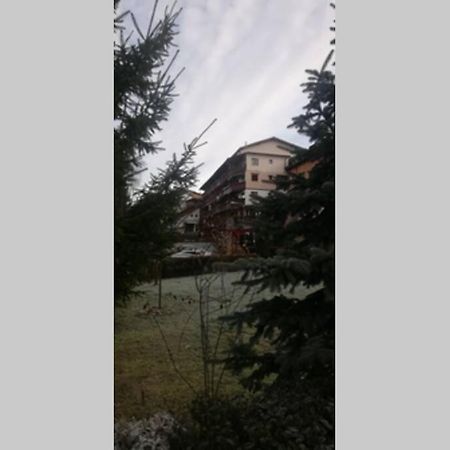 Large Vacation Apartment In Poiana Brasov Buitenkant foto