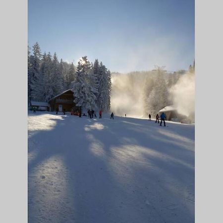 Large Vacation Apartment In Poiana Brasov Buitenkant foto