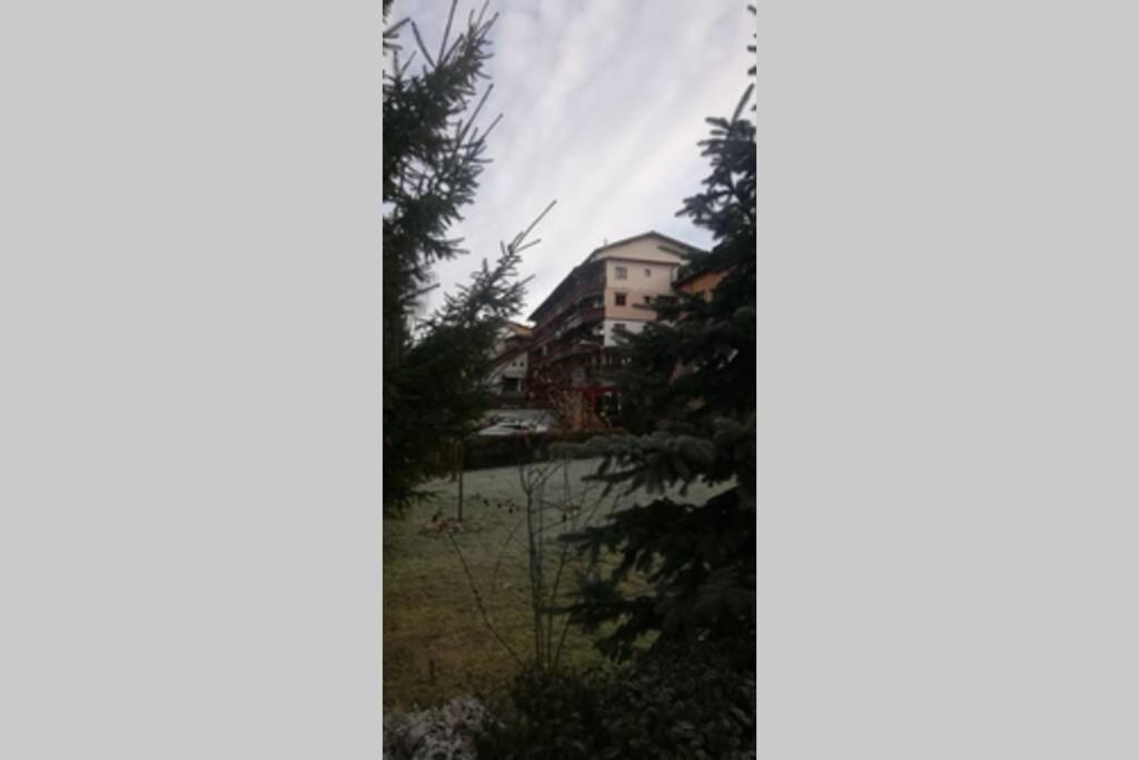 Large Vacation Apartment In Poiana Brasov Buitenkant foto
