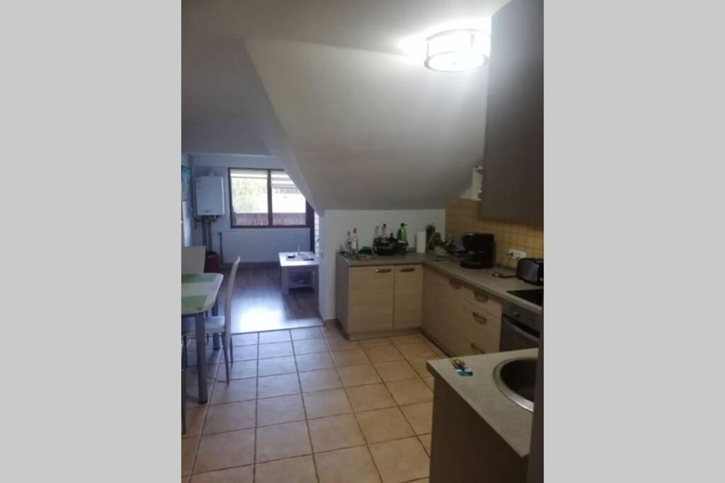 Large Vacation Apartment In Poiana Brasov Buitenkant foto