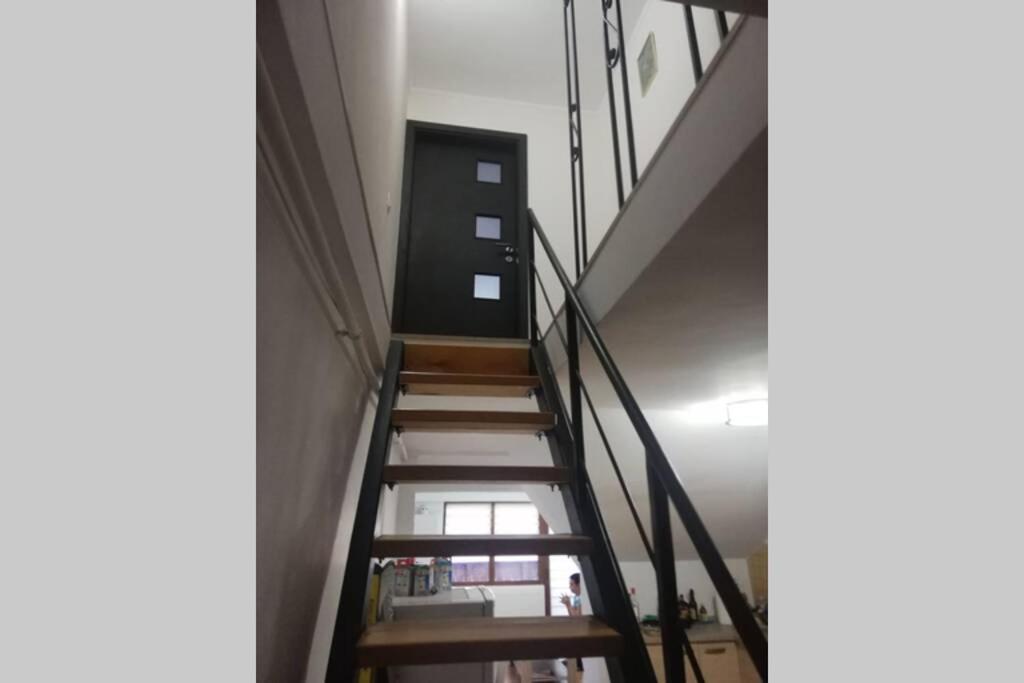 Large Vacation Apartment In Poiana Brasov Buitenkant foto