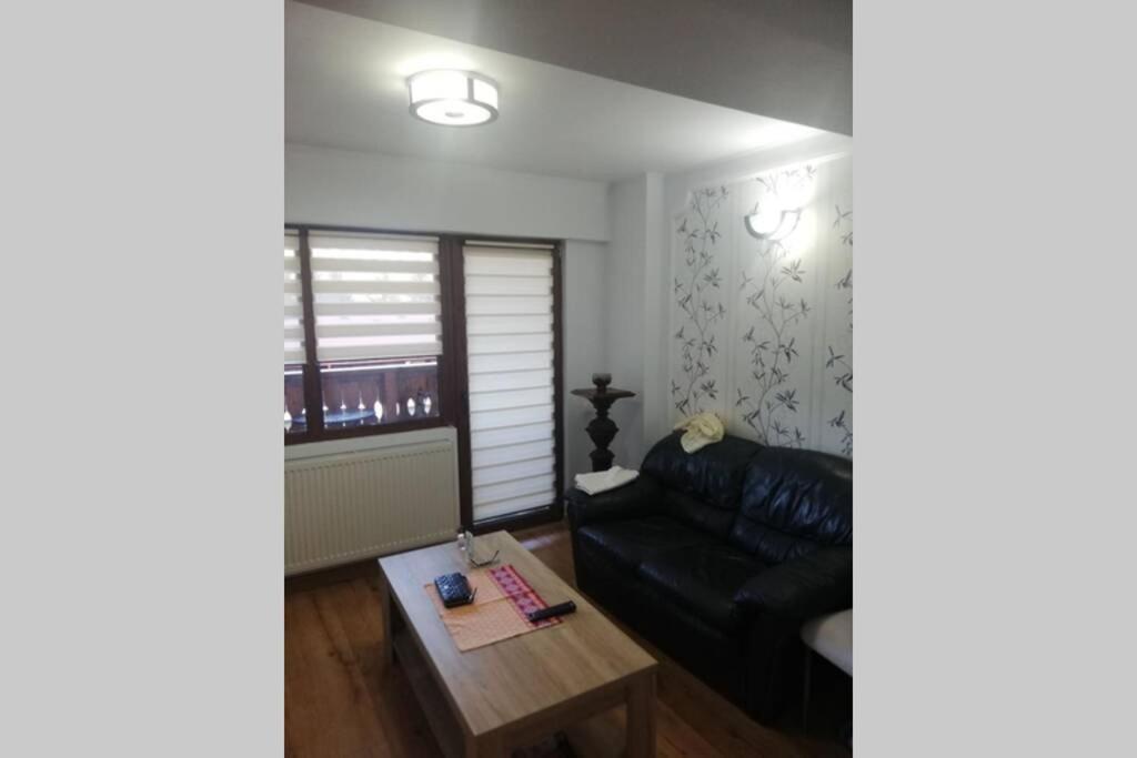 Large Vacation Apartment In Poiana Brasov Buitenkant foto