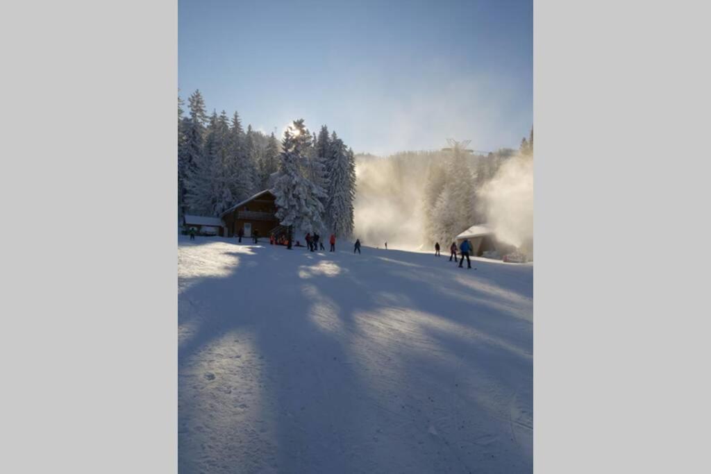 Large Vacation Apartment In Poiana Brasov Buitenkant foto